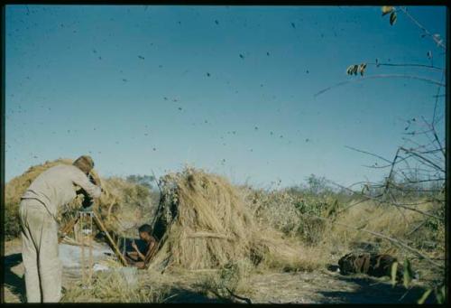 Expedition, Photography: //Ao applying poison to arrows, with John Marshall filming him (copy of slide 8A-96)