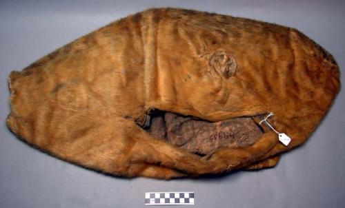 Bag, seal skin