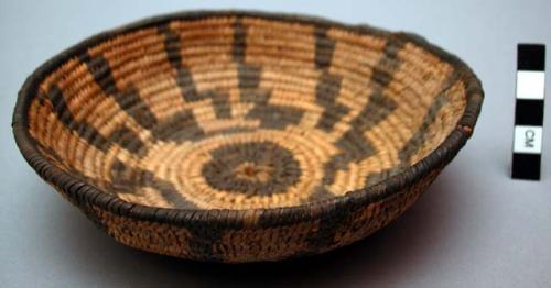 Very small basket, coiled. Made of willow or cottonwood and devil's claw.