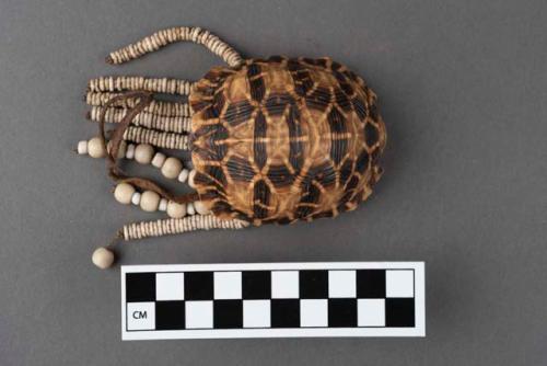 Tortoiseshell pouch with 9 drilled holes; 8 pendant strings of ostrich eggshell beads and glass bead, one string missing; hide strap; holds organic material; textile fragment stuffed into opening