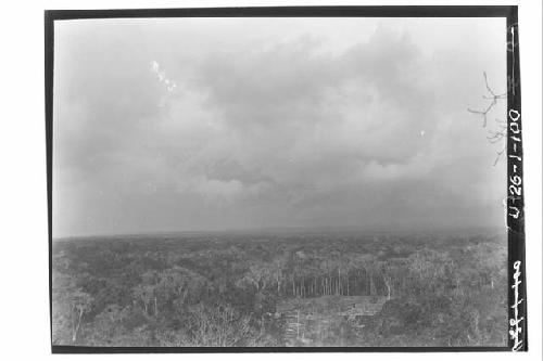 Looking over Bush from Temple