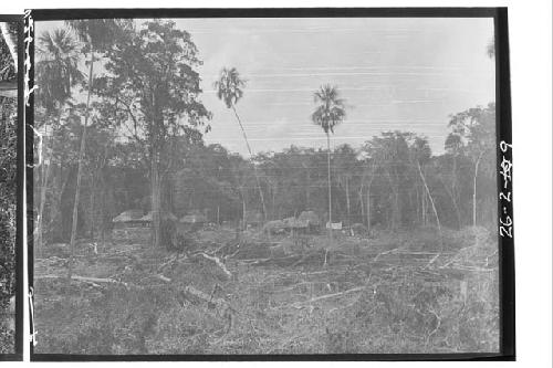 Milpa and houses