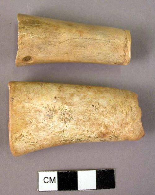 12 whole and fragmentary bone tubes