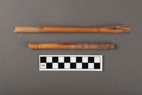 Cane artifacts