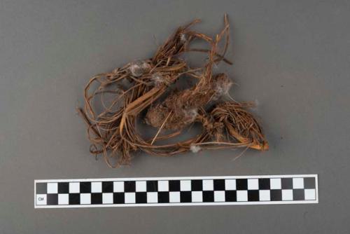 Organic fiber fragments, knotted, in a bag