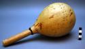 Gourd rattle