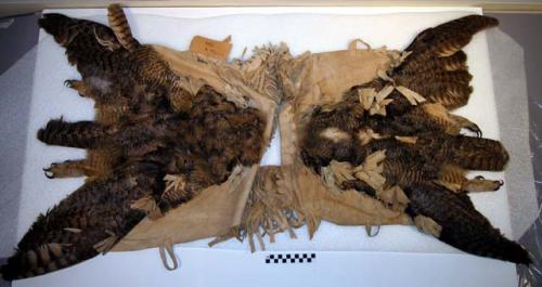 'Poncho' of buckskin trimmed with owl feathers. Horned owl skins sewn on back.