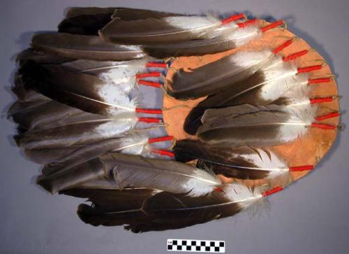 Shield made of skin with a circlet of dangling feathers