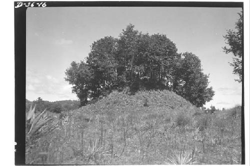 One of large mounds (northern most pyramid)