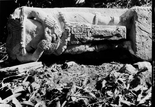 Stela 15 - front, bottom fragment