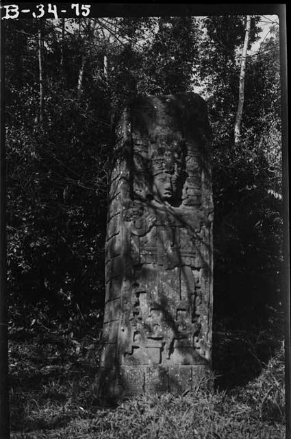 Stela C, south side