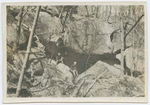 Photo of individuals on rocks among trees