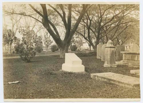 Gravestones among trees