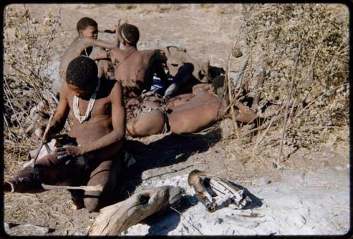 Bag making: Man making a skin bag from the whole skin of a wart hog, with four young men sitting behind him and a tortoise shell hanging in a nearby tree with bow and quiver