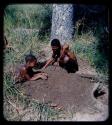 Poison: Man digging by a tree, with a boy watching him