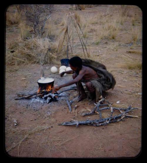 Food, Cooking: Woman cooking ostrich eggs in a pot over fire