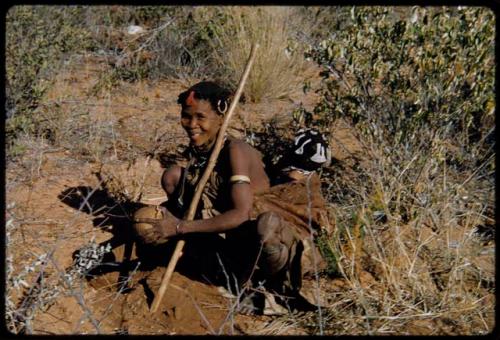 Food Gathering, Children: Bau of Band 10 digging, holding veldkos in her hand, with her child tied to her back