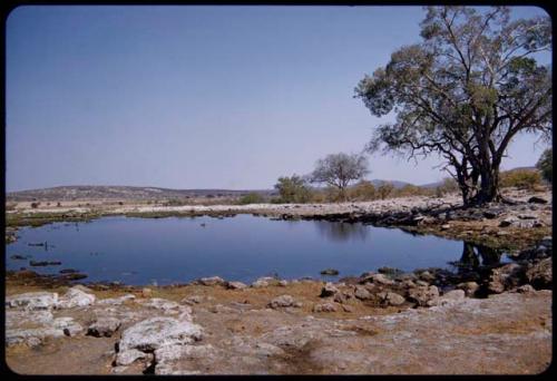 Kaoko Otavi waterhole