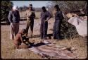 ǂGasa scraping a hide, people watching him