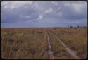 Landscape, truck tracks