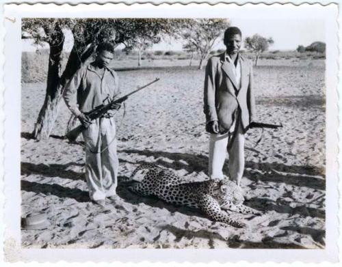 Boys' brother and another man standing next to a dead leopard, holding rifles