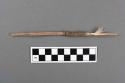 Twig paho - quill of one larg16.6eather attached