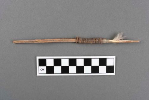 Twig paho - quill of one larg16.6eather attached