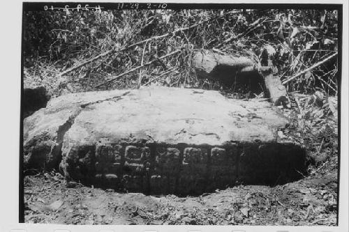 Stela 23 - left side, bottom