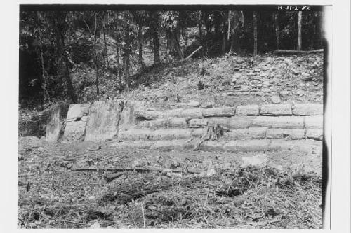 Close up of monumental stairway and Stela 43, Structure J-1