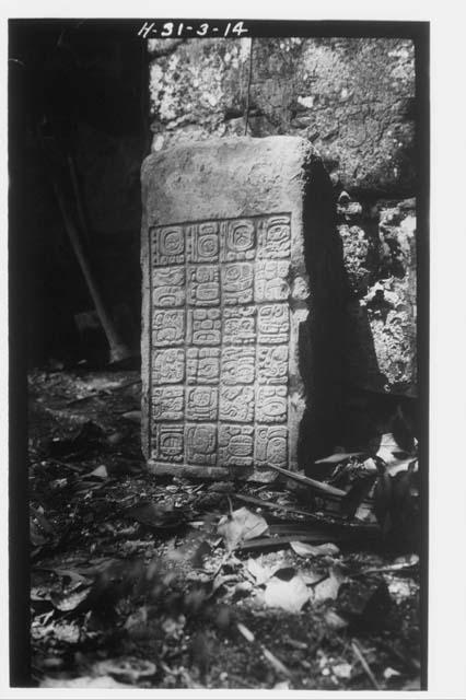 Stela 12; top section