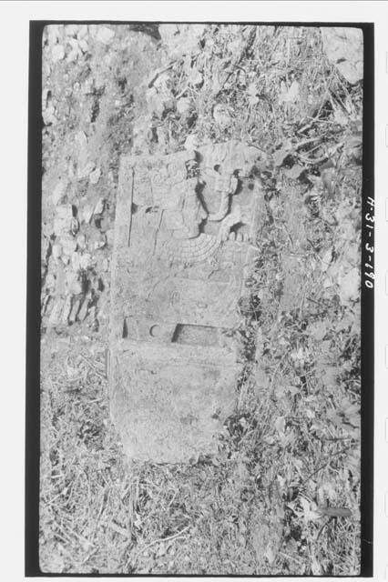 Stela 40 - bottom section