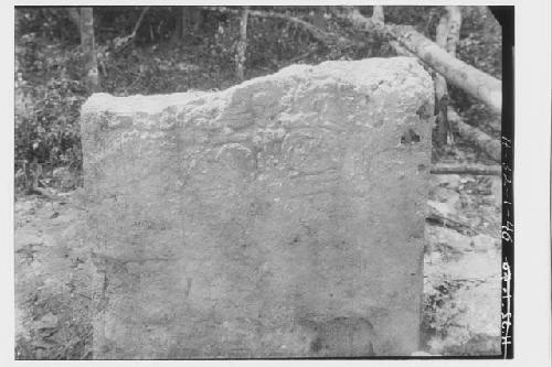 Stela 33 - lower half