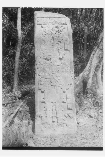 Stela 52 - front