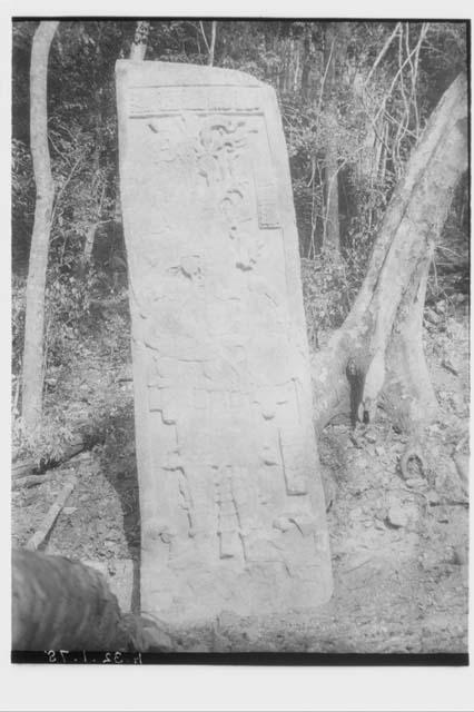 Stela 52 - front