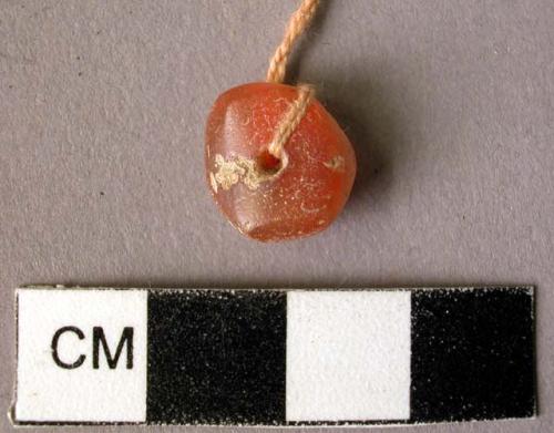 Carnelian bead