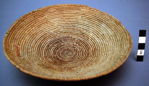 Basket, coiled. 3 rod foundation. Made of bear grass.