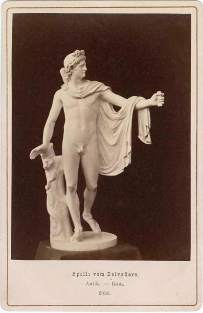 Marble sculpture of Apollo Belvedere