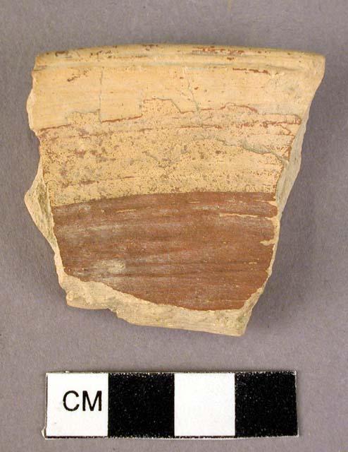 Splayed potery rim sherd