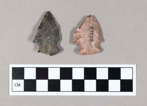 Chipped stone, projectile points, side-notched and corner-notched