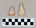 Chipped stone, side-notched projectile points