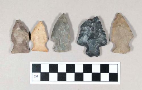 Chipped stone projectile points, stemmed, bifurcate, and side-notched, chert.