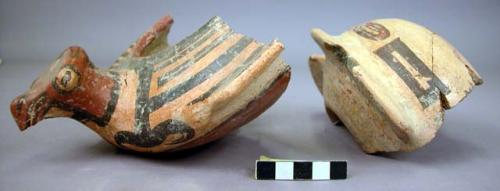 9 potsherds of bird vessel - Nispero variety