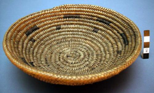 Small basket tray. Coil technique. Made of bear grass and devil's claw.