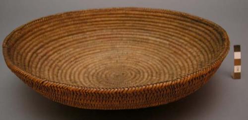 Small basket tray, coiled. Made of bear grass. Natural with no design.