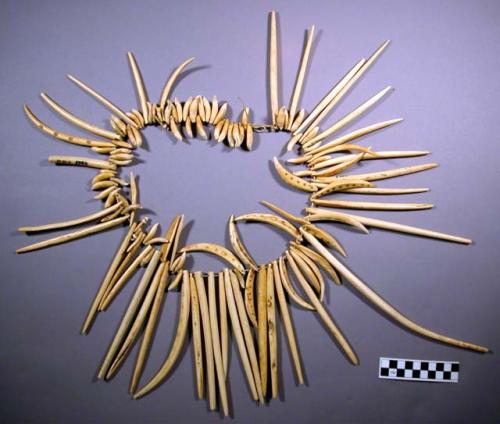 Shaman necklace of teeth