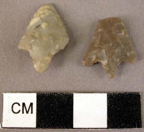 Flint arrowheads