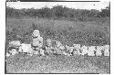 Caracol. Sculptured stones found on low platform, south of lower platform and no