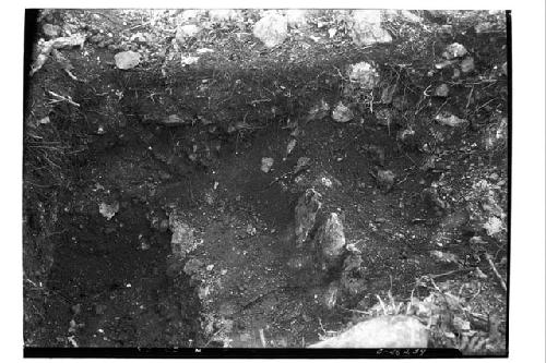 Initial Series precinct. Trench at E. edge, looking S.