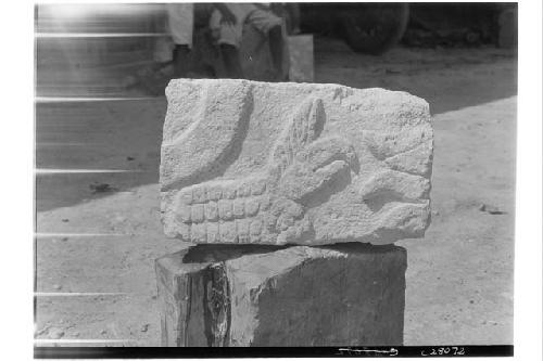 Sculptured stone from fill in Temple of Chac Mool