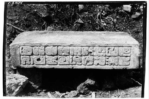 Sculptured face of eastern lintel at Temple of Two Lintels.